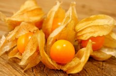 農(nóng)業(yè)自動(dòng)氣象站助力菇娘規(guī)?；N植